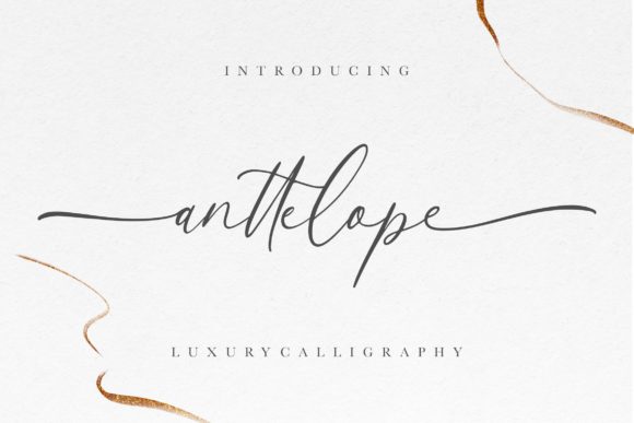 Anttelope: A Luxury Script Font for Editorial Design