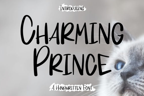Charming Prince: A Quirky Handwritten Font for Makers